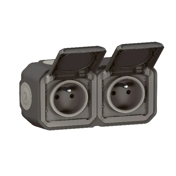 Legrand - Double prise de courant précâblée 2x2 P+T horizontale étanche plexo complet saillie - anthracite - 069788L