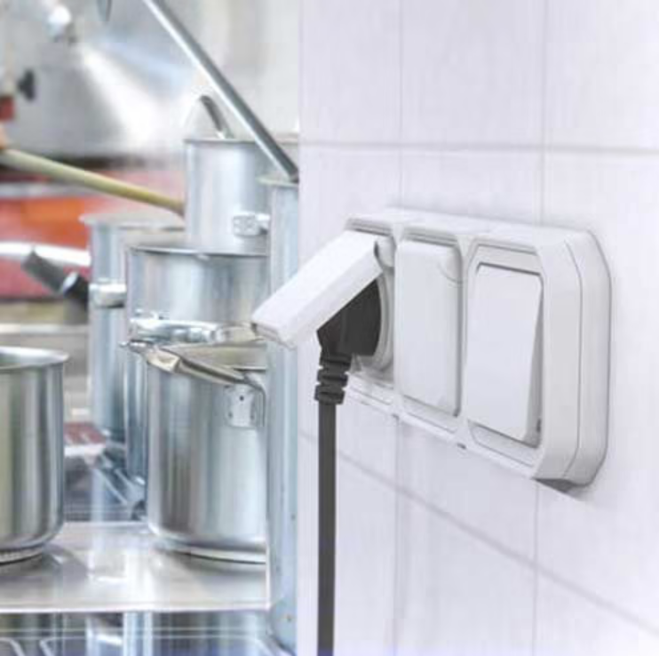 Legrand 069621L Prise de courant 2P+T étanche Plexo 16A 250V IP55 IK08 avec enjoliveur finition blanc 3