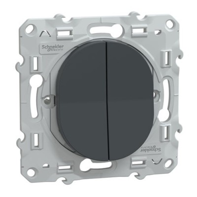 Schneider  Ovalis  double poussoir fermeture 10AX - Anthracite
