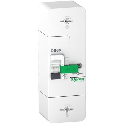 Disjoncteur de branchement Schneider R9FN660, 1P+N - 60A - non différentiel