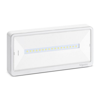 Schneider - Exiway Light - Bloc de secours Ambiance IP42 SATI - Réf : OVA59310