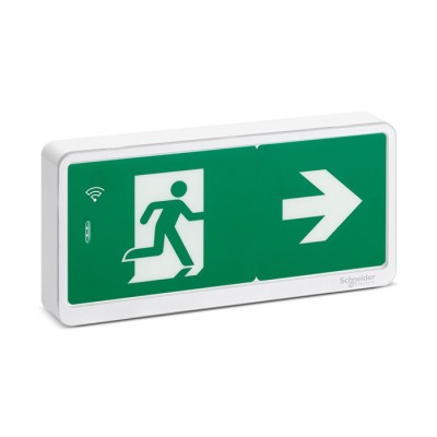 Schneider - Exiway Light - Bloc de secours Bifonction IP42 SATI LINK - Réf : OVA59430