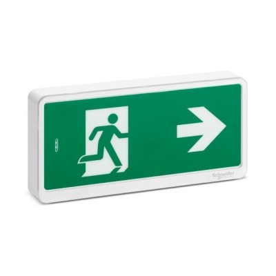 Schneider - Exiway Light Bloc de secours Evacuation IP42 SATI - Réf : OVA59110